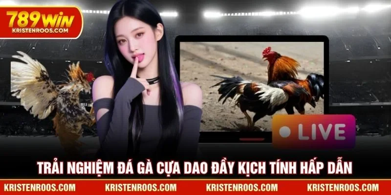 Trải nghiệm đá gà cựa dao 789WIN đầy kịch tính hấp dẫn